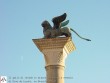 Il gallo di Levada in Piazza San Marco a Venezia